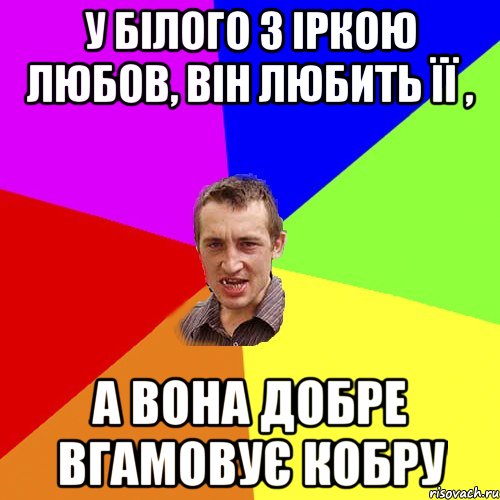 у Білого з Іркою любов, він любить її , а вона добре вгамовує кобру, Мем Чоткий паца