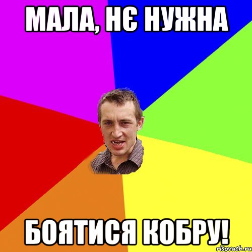 Мала, Нє нужна Боятися Кобру!, Мем Чоткий паца