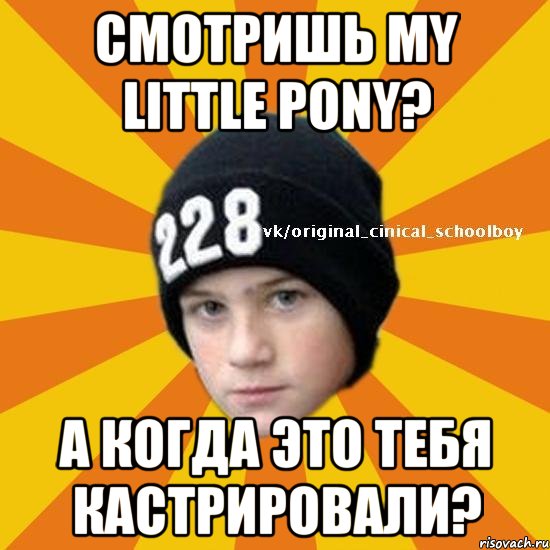 Смотришь My Little Pony? А когда это тебя кастрировали?, Мем  Циничный школьник