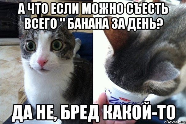 А ЧТО ЕСЛИ МОЖНО СЪЕСТЬ ВСЕГО " БАНАНА ЗА ДЕНЬ? ДА НЕ, БРЕД КАКОЙ-ТО, Комикс  Да не бред-какой-то (2 зоны)