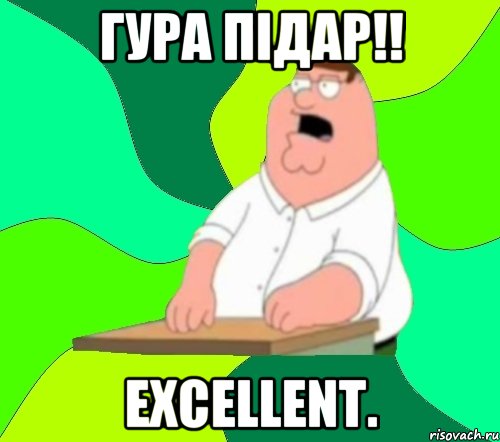 Гура підар!! Excellent., Мем  Да всем насрать (Гриффин)