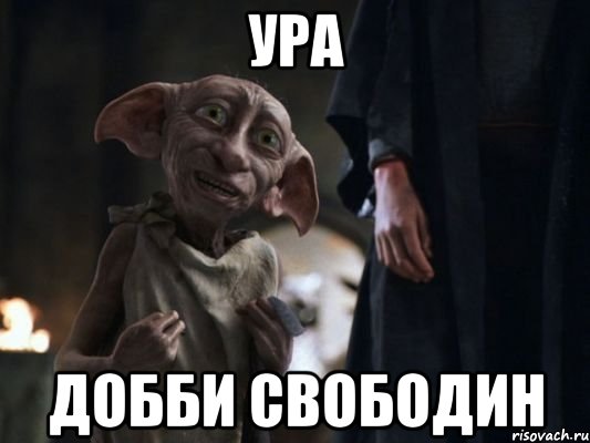 ура добби свободин