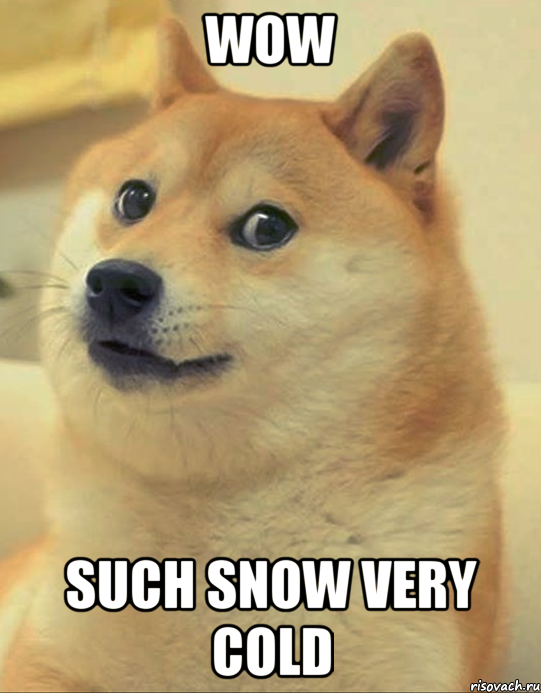 wow such snow very cold, Мем doge woof