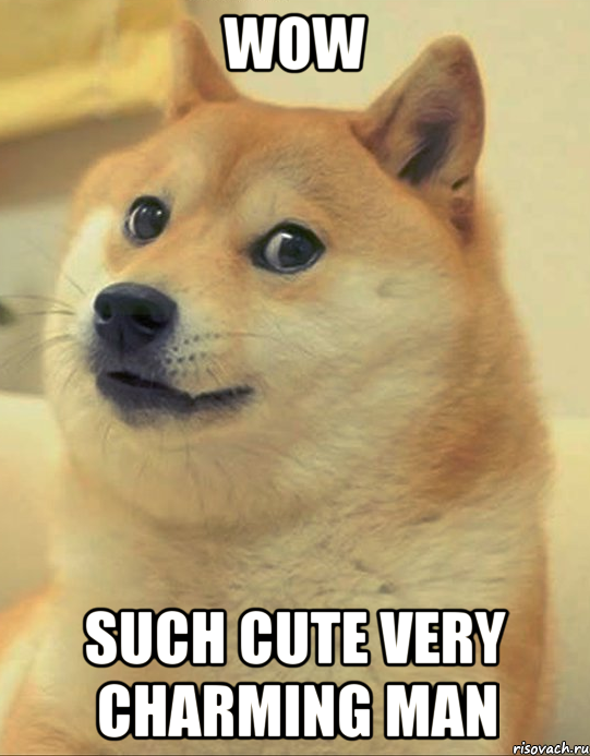 WOW SUCH CUTE VERY CHARMING MAN, Мем doge woof