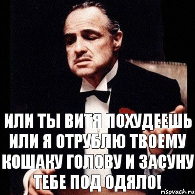 или ты витя похудеешь или я отрублю твоему кошаку голову и засуну тебе под одяло!, Комикс Дон Вито Корлеоне 1