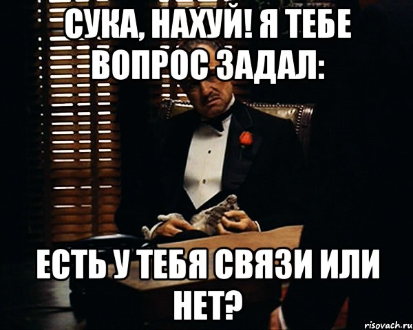 Сука, нахуй! Я тебе вопрос задал: есть у тебя связи или нет?, Мем Дон Вито Корлеоне