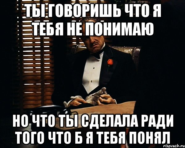 ты говоришь что я тебя не понимаю но что ты сделала ради того что б я тебя понял, Мем Дон Вито Корлеоне