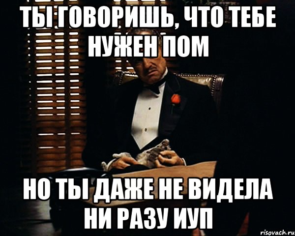 Ты говоришь, что тебе нужен ПОМ Но ты даже не видела ни разу ИУП, Мем Дон Вито Корлеоне