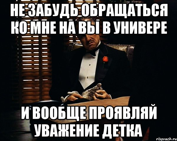 Не забудь обращаться ко мне на Вы в универе и вообще проявляй уважение детка, Мем Дон Вито Корлеоне