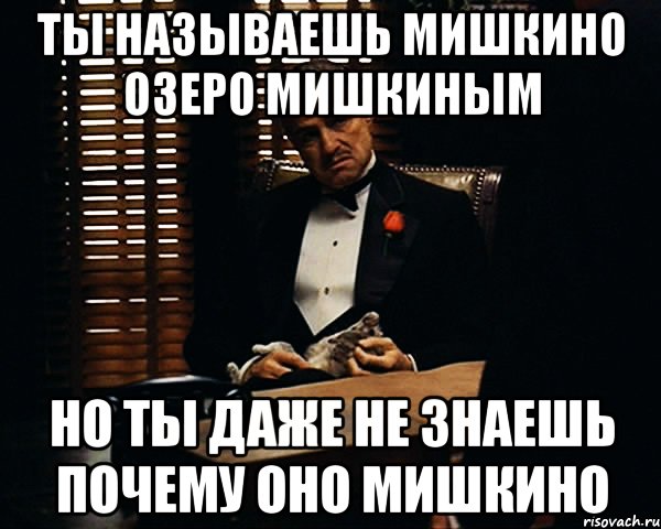 ты называешь мишкино озеро мишкиным но ты даже не знаешь почему оно мишкино, Мем Дон Вито Корлеоне