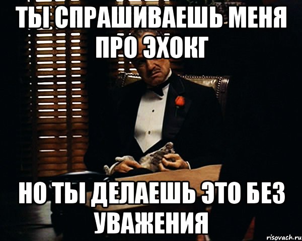 Ты спрашиваешь меня про ЭхоКГ Но ты делаешь это без уважения, Мем Дон Вито Корлеоне