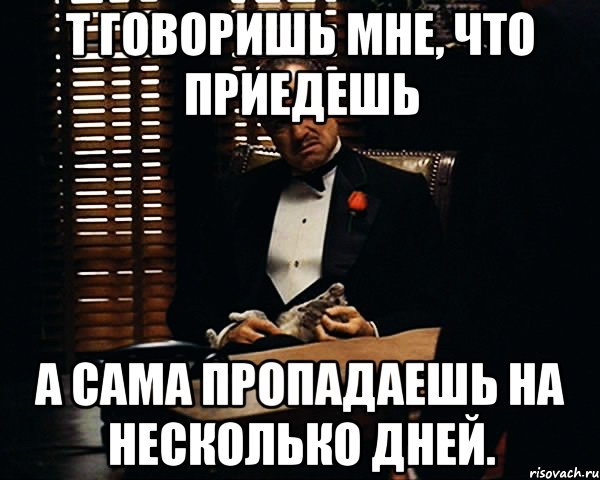 Т говоришь мне, что приедешь А сама пропадаешь на несколько дней., Мем Дон Вито Корлеоне