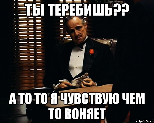 Ты теребишь?? а то то я чувствую чем то воняет, Мем Дон Вито Корлеоне