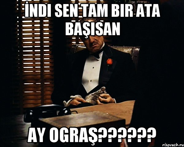 İndi sen tam bir ata başisan ay ograş??????, Мем Дон Вито Корлеоне