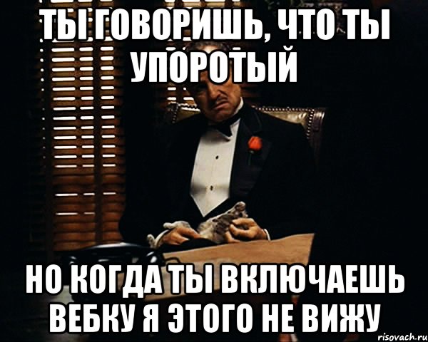 ты говоришь, что ты упоротый но когда ты включаешь вебку я этого не вижу, Мем Дон Вито Корлеоне