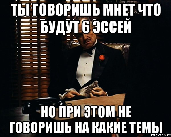 ты говоришь мнет что будут 6 эссей но при этом не говоришь на какие темы, Мем Дон Вито Корлеоне