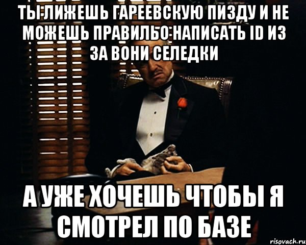 Ты лижешь гареевскую пизду и не можешь правильо написать ID из за вони селедки А уже хочешь чтобы я смотрел по базе, Мем Дон Вито Корлеоне