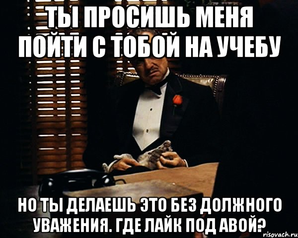 Ты просишь меня пойти с тобой на учебу но ты делаешь это без должного уважения. Где лайк под авой?, Мем Дон Вито Корлеоне