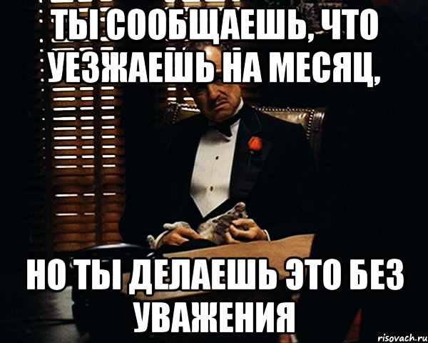 Ты сообщаешь, что уезжаешь на месяц, Но ты делаешь это без уважения, Мем Дон Вито Корлеоне