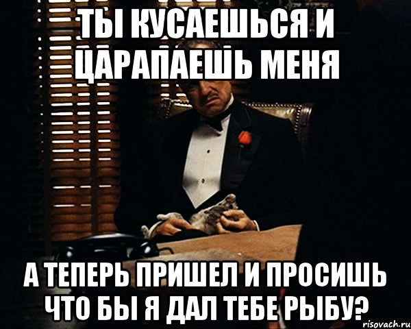 Ты кусаешься и царапаешь меня а теперь пришел и просишь что бы я дал тебе рыбу?, Мем Дон Вито Корлеоне