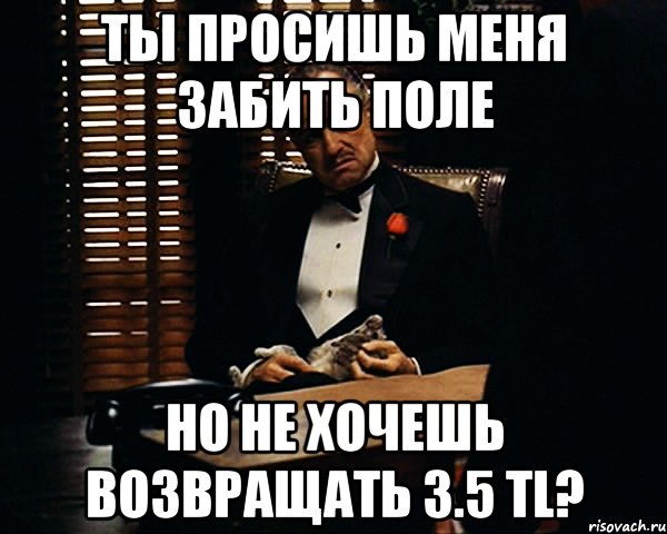 ты просишь меня забить поле но не хочешь возвращать 3.5 tl?, Мем Дон Вито Корлеоне