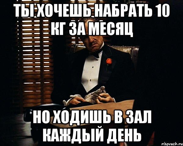 Ты хочешь набрать 10 кг за месяц Но ходишь в зал каждый день, Мем Дон Вито Корлеоне