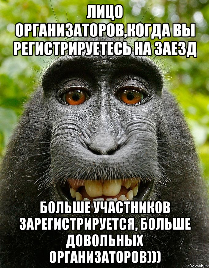 Лицо организаторов,когда вы регистрируетесь на заезд Больше участников зарегистрируется, больше довольных организаторов))), Мем  Довольная обезьяна