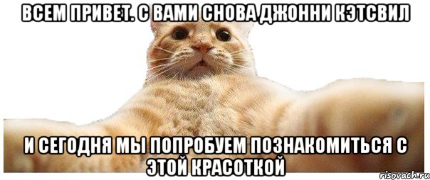 Всем привет. С Вами снова Джонни Кэтсвил И сегодня мы попробуем познакомиться с этой красоткой, Мем   Кэтсвилл