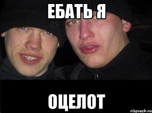 Ебать я Оцелот