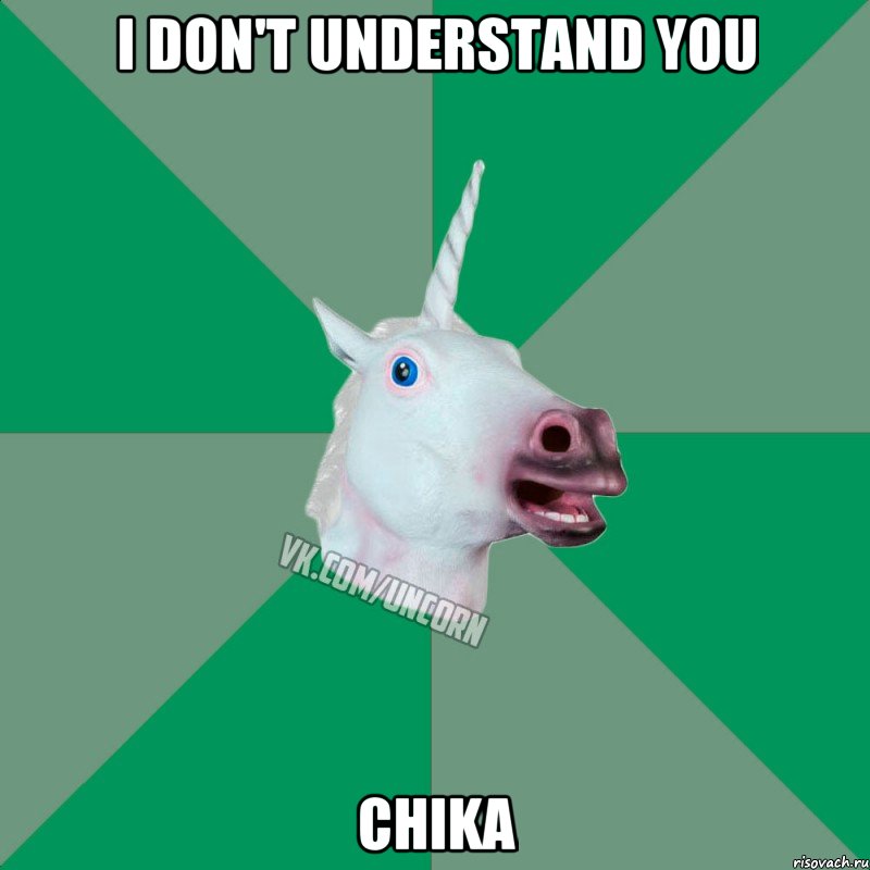 I don't understand you Chika, Мем  Единорог Философ