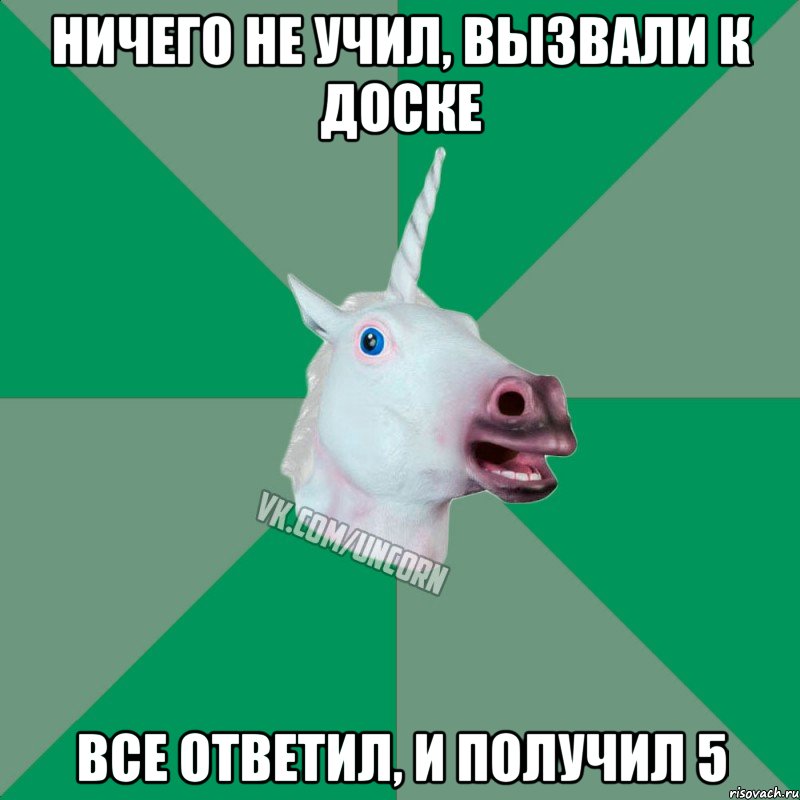 ничего не учил, вызвали к доске все ответил, и получил 5, Мем  Единорог Философ