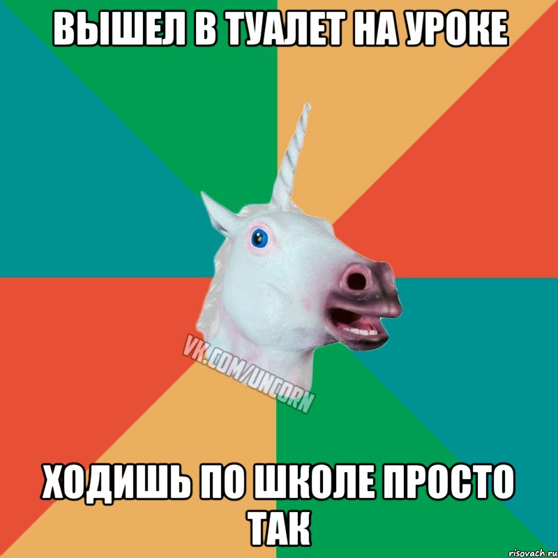ВЫШЕЛ В ТУАЛЕТ НА УРОКЕ ХОДИШЬ ПО ШКОЛЕ ПРОСТО ТАК, Мем  Единорог Неудачник