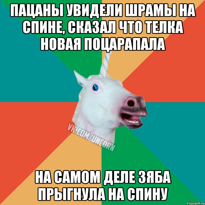 Пацаны увидели шрамы на спине, сказал что телка новая поцарапала на самом деле Зяба прыгнула на спину, Мем  Единорог Неудачник