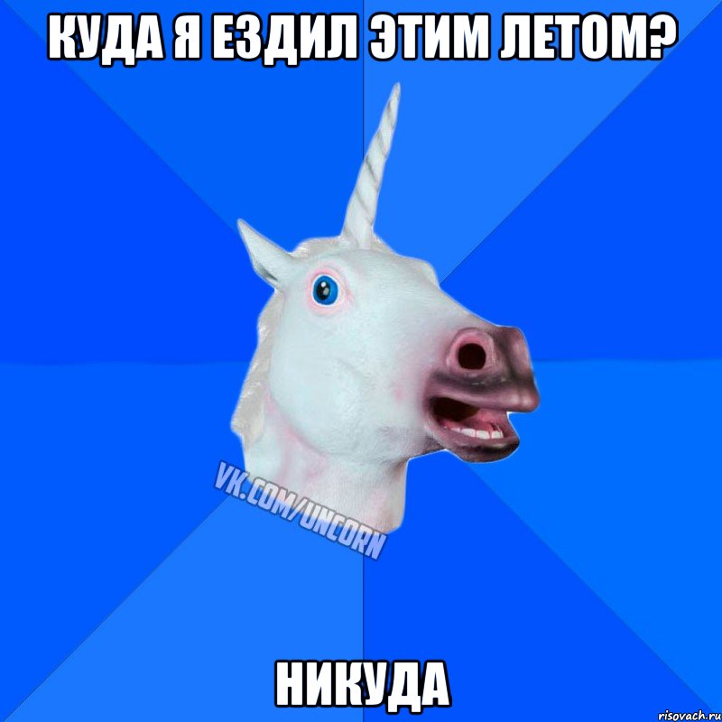 куда я ездил этим летом? никуда