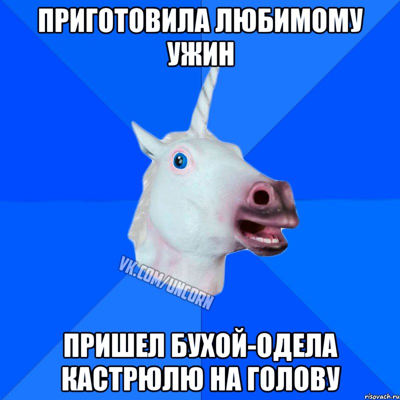 Приготовила любимому ужин Пришел бухой-одела кастрюлю на голову, Мем Единорог