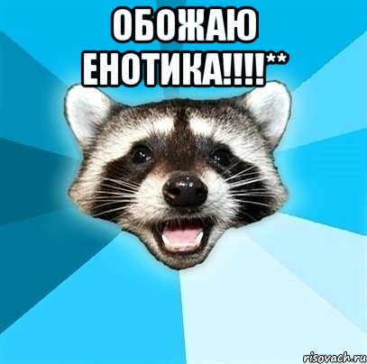 обожаю енотика!!!!** 