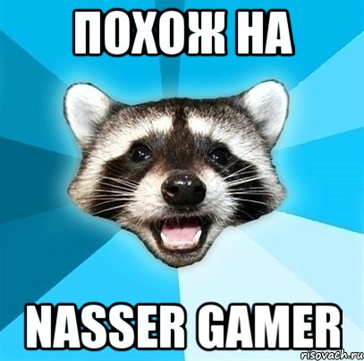 Похож на Nasser Gamer, Мем Енот-Каламбурист