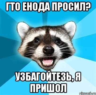 Гто енода просил? Узбагойтезь, я пришол, Мем Енот-Каламбурист