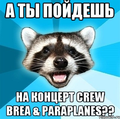 А ты пойдешь на концерт Crew Brea & PARAPLANES??, Мем Енот-Каламбурист