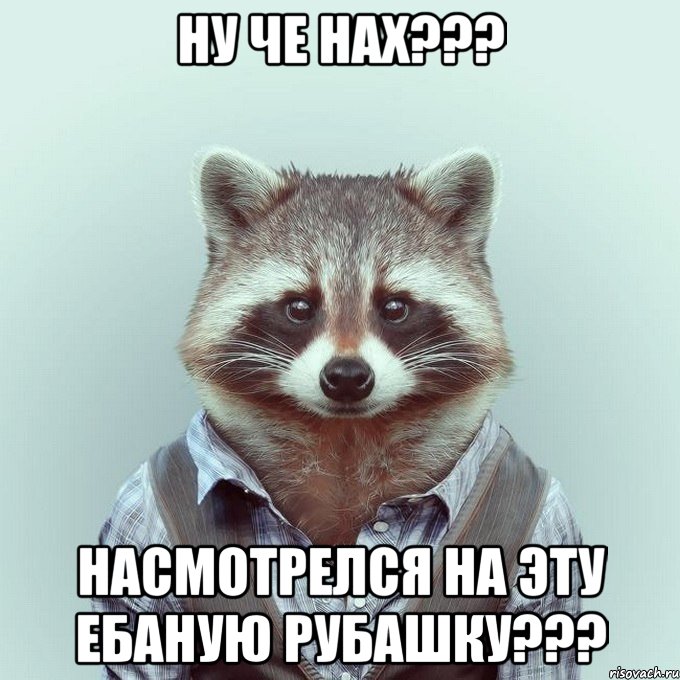 ну че нах??? насмотрелся на эту ебаную рубашку???