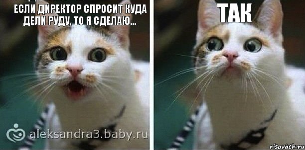 Если директор спросит куда дели руду, то я сделаю... ТАК