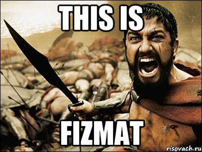 THIS IS FIZMAT, Мем Это Спарта