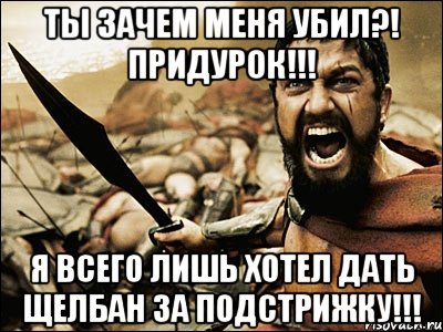 Ты зачем меня убил?! Придурок!!! Я всего лишь хотел дать щелбан за подстрижку!!!, Мем Это Спарта