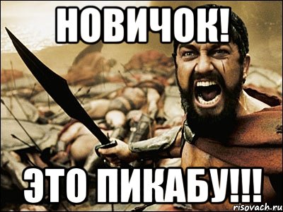 Новичок! Это ПИКАБУ!!!, Мем Это Спарта