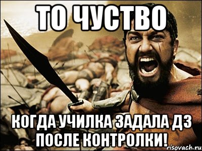 то чуство КОГДА УЧИЛКА ЗАДАЛА ДЗ ПОСЛЕ КОНТРОЛКИ!, Мем Это Спарта