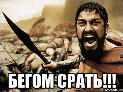  бегом срать!!!, Мем Это Спарта