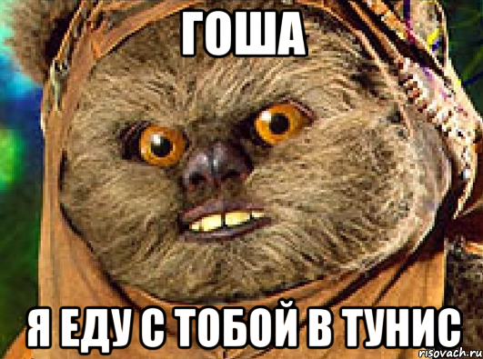 Гоша я еду с тобой в тунис