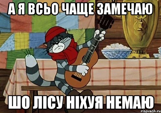 а я всьо чаще замечаю шо лісу ніхуя немаю, Мем Грустный Матроскин с гитарой