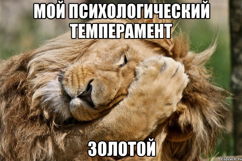 Мой психологический темперамент золотой, Мем Фэйспалм