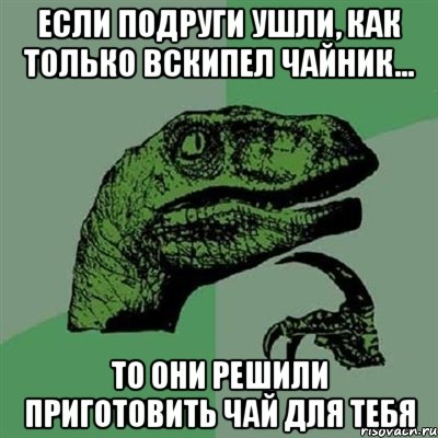 Если подруги ушли, как только вскипел чайник... то они решили приготовить чай для тебя, Мем Филосораптор